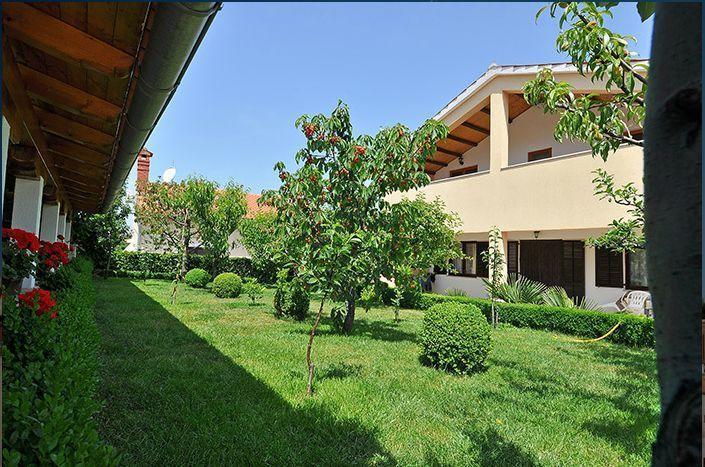 רובינייסקו סלו Apartment Pokrajac חדר תמונה